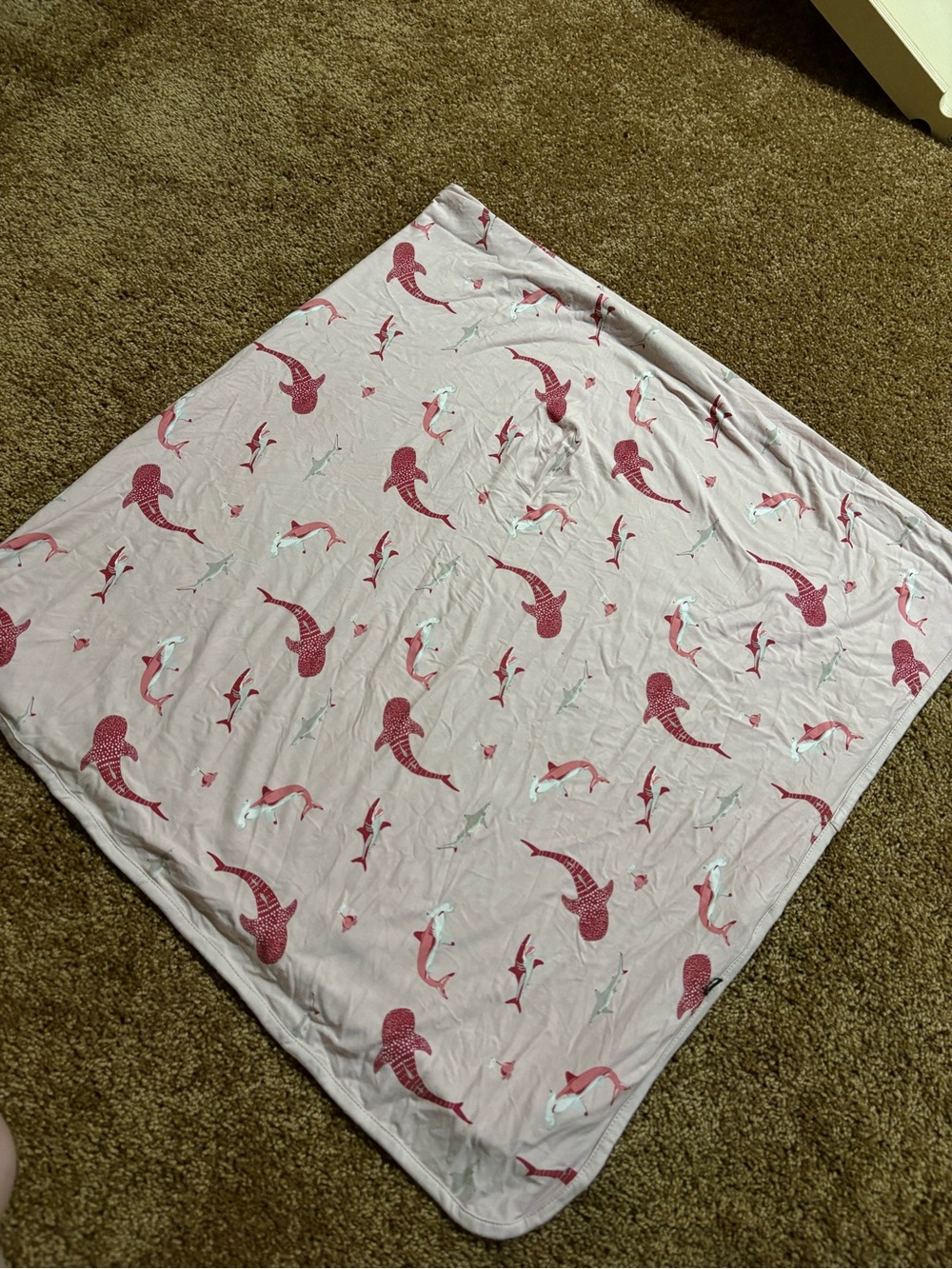 Kyte Baby Bamboo Pink Shark Baby Blanket